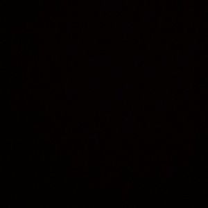 Meet your Posher, Zach